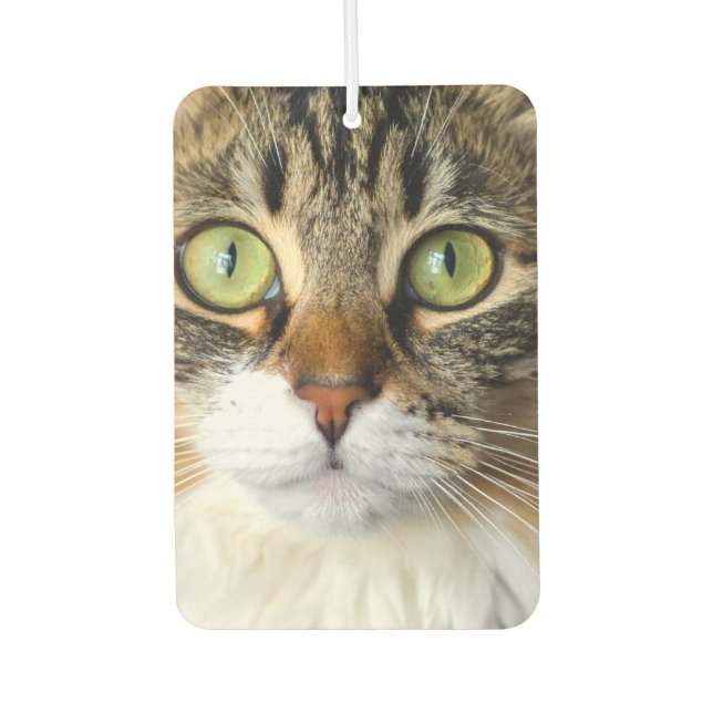 Cat Car Air Freshener (Front)