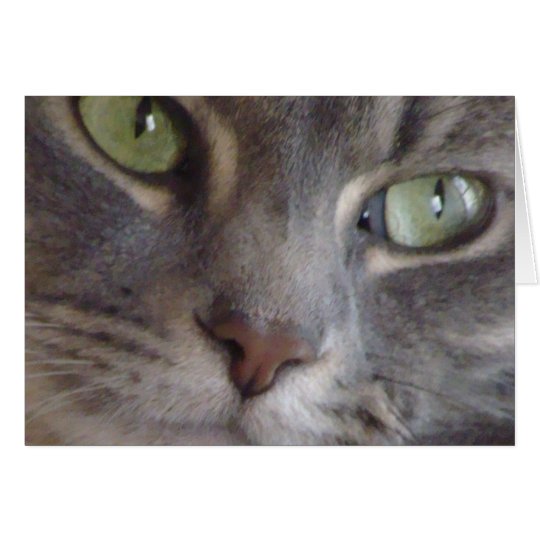 Cat Card
