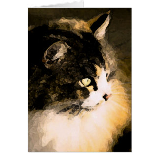 Cat Card