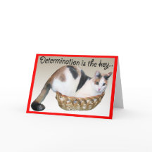 Cat Cards,Funny Encouragement to a Friend