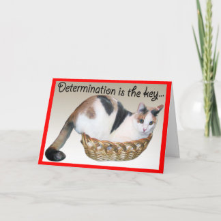 Cat Cards,Funny Encouragement to a Friend Card