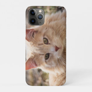 Cat iPhone 11 pro case