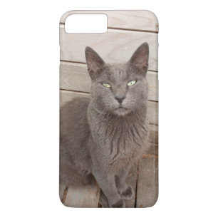 Cat iPhone 8 Plus/7 Plus Case
