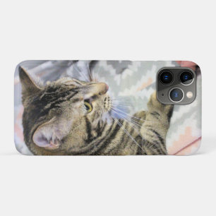 Cat iPhone 11 Pro Case