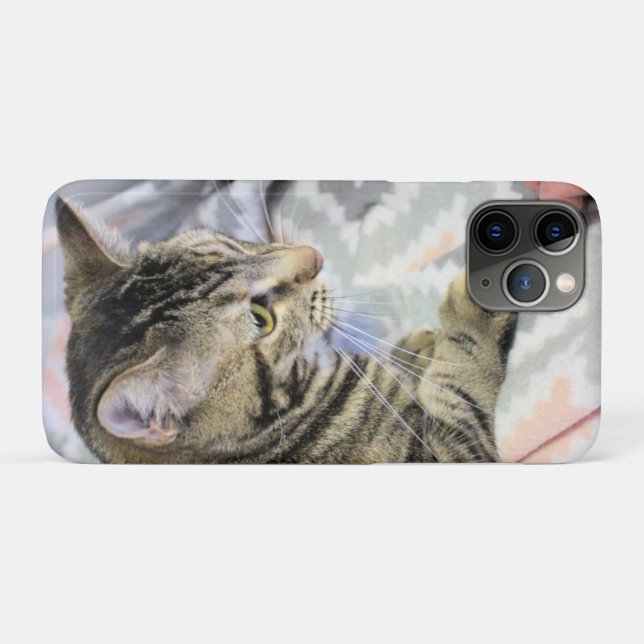 Cat Case-Mate iPhone Case (Back (Horizontal))