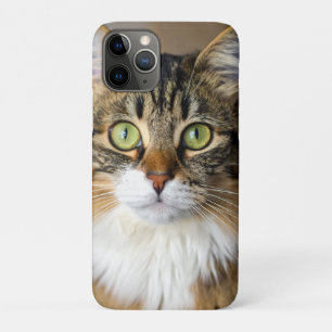 Cat iPhone 11 Pro Case