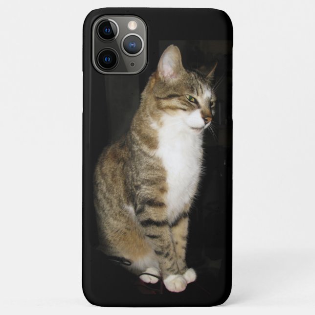 Cat Case-Mate iPhone Case (Back)