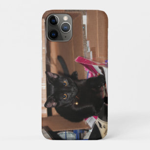 Cat iPhone 11 pro case