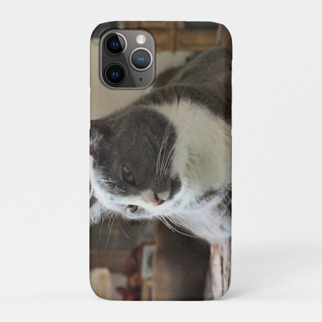 Cat Case-Mate iPhone Case (Back)