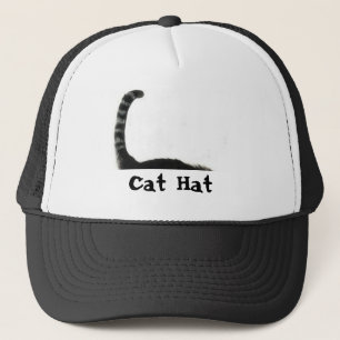 cat, Cat Hat