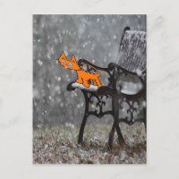 Cat Catches Snow Flakes O His Tong