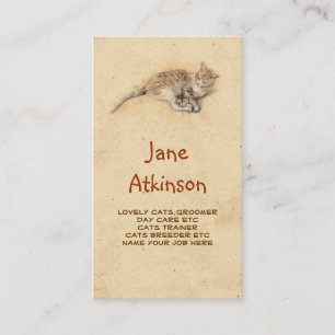 cat cats business card