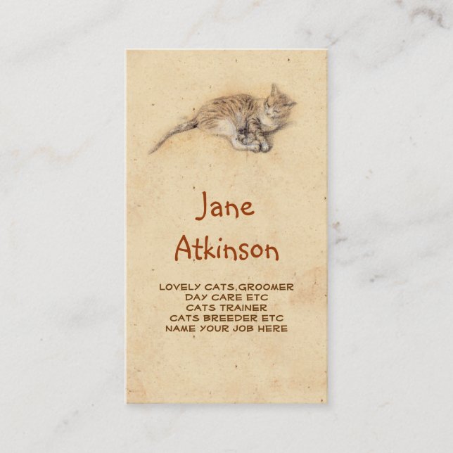 cat cats business card (Front)