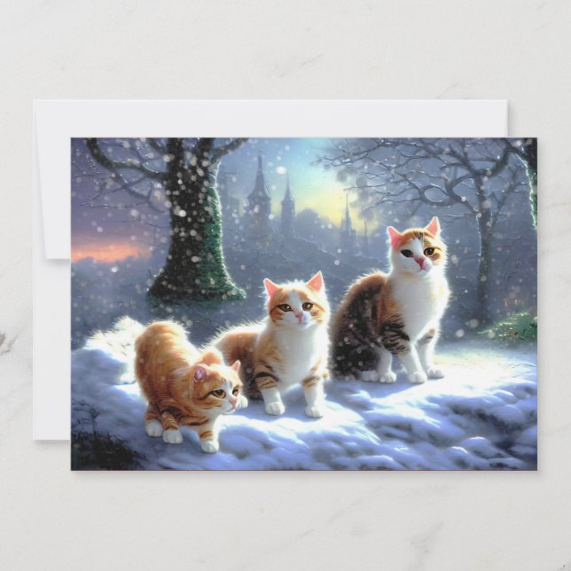 Cat, Cats in snow Christmas Card (Front)
