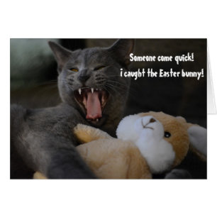 Cat Caught the Easter Bunny Funny Humour Greeting