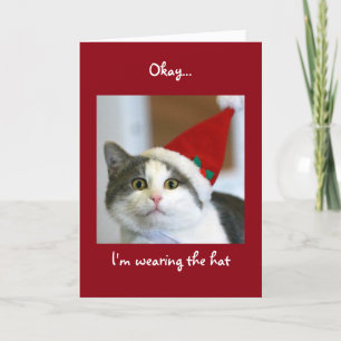 Cat-Centric Christmas Card