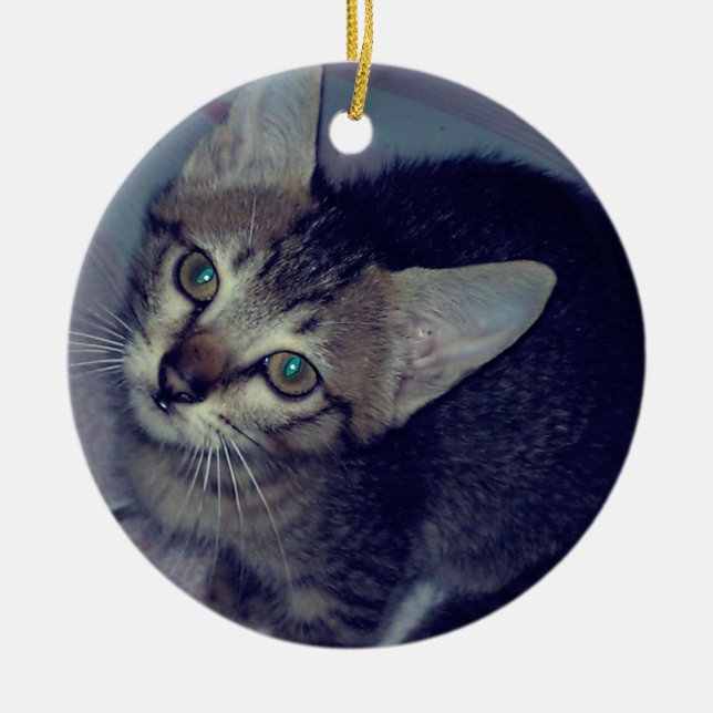 Cat Ceramic Ornament (Front)