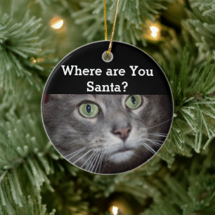 Cat Ceramic Ornament