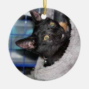 Cat Ceramic Ornament
