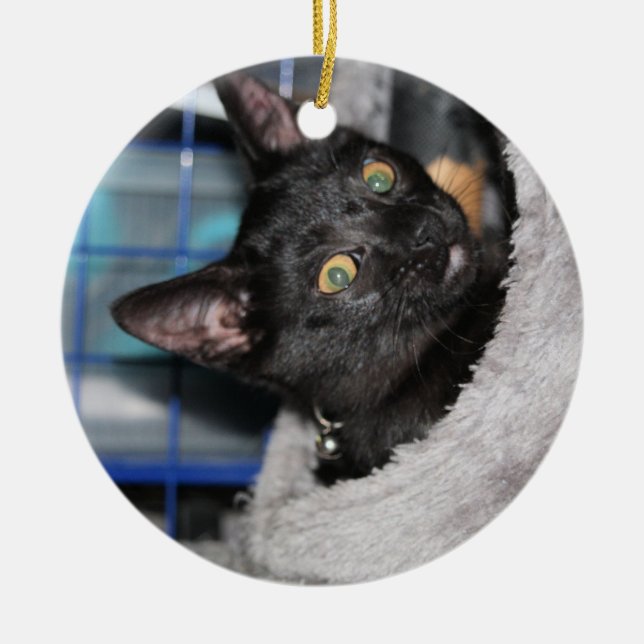 Cat Ceramic Ornament (Front)