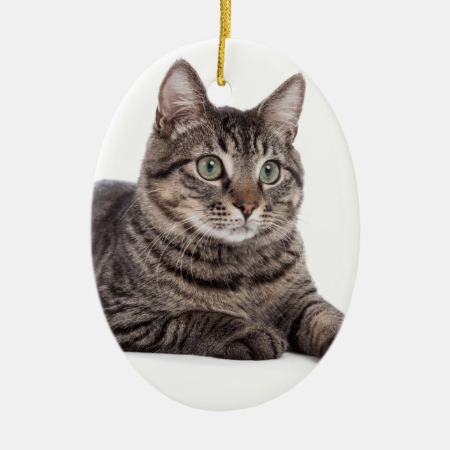 Cat Ceramic Ornament (Front)