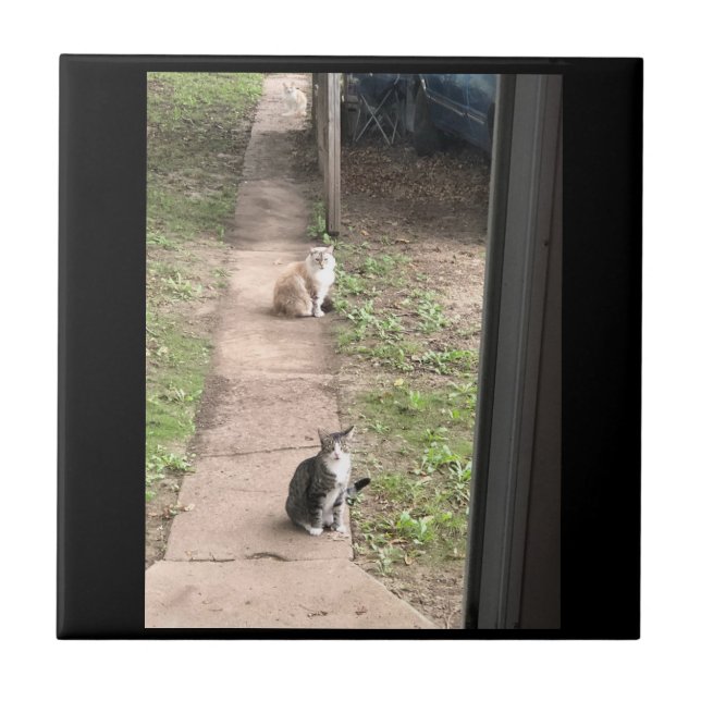Cat Ceramic Tile (Front)
