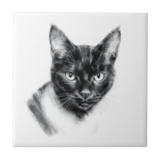 Cat Charcoal Ceramic Tile