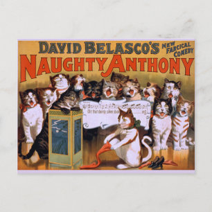 Cat Chorus! - Postcard