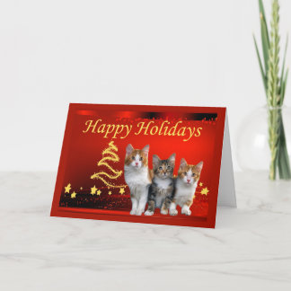 Cat Christmas Card