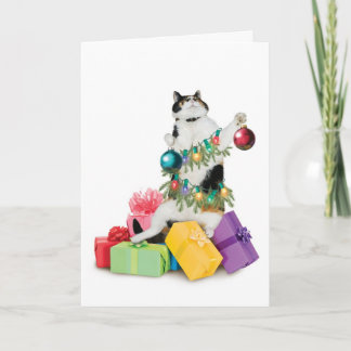 Cat Christmas Card Funny Cute Adorable Best