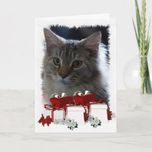 Cat Christmas Card With Maine Coon Kitten