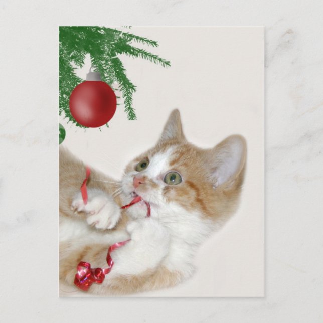 Cat Christmas fun Holiday Postcard (Front)