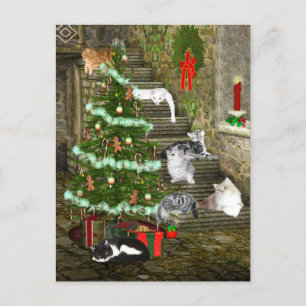 Cat Christmas Holiday Postcard