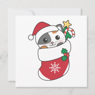 Cat Christmas Snow Winter Animals Cats Holiday Car Card
