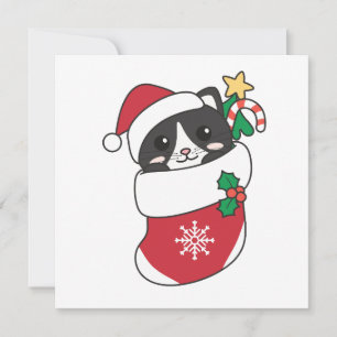 Cat Christmas Snow Winter Animals Cats Holiday Car Card