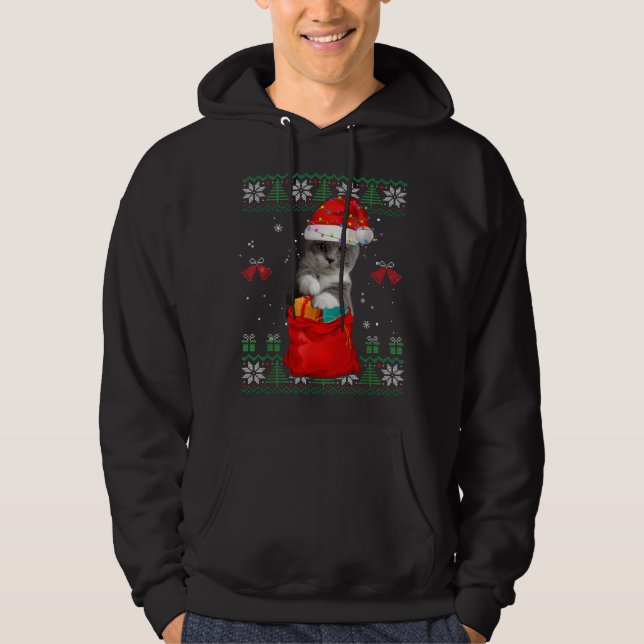 Cat Christmas Tree Lights Santa Hat Cat Lover Hoodie (Front)