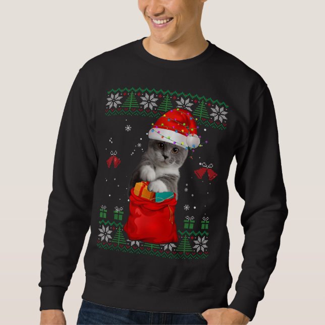 Cat Christmas Tree Lights Santa Hat Cat Lover Sweatshirt (Front)