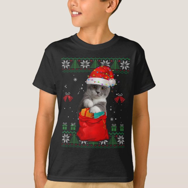 Cat Christmas Tree Lights Santa Hat Cat Lover T-Shirt (Front)