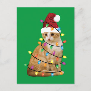 Cat Christmas Tree Santa Funny Xmas Cat Lover Postcard
