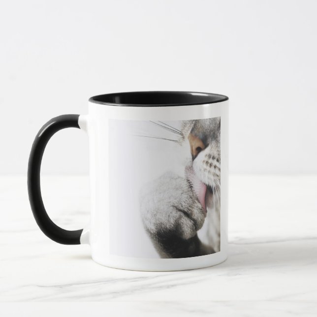 Cat cleaning paw, close-up mug (Left)