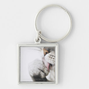 Cat cleaning paw key ring