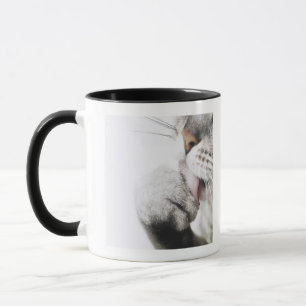Cat cleaning paw mug