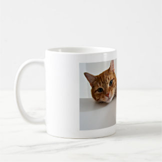 Cat  coffee mug