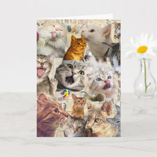 Cat Collage Greeting Card