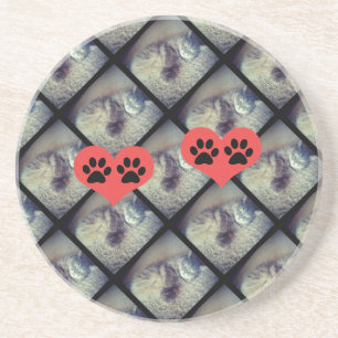 Cat Collage with Paw Prints by Shirley Taylor Coaster