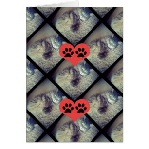 Cat Collage with PawPrints by Shirley Taylor