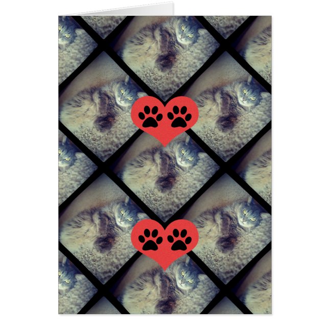 Cat Collage with PawPrints by Shirley Taylor (Front)