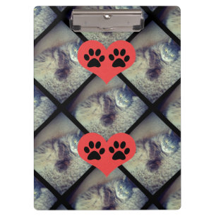 Cat Collage with PawPrints by Shirley Taylor Clipboard