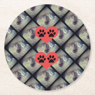 Cat Collage with PawPrints by Shirley Taylor Round Paper Coaster