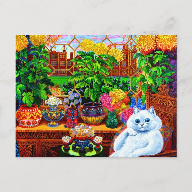 Cat College Master Postcard (Front)